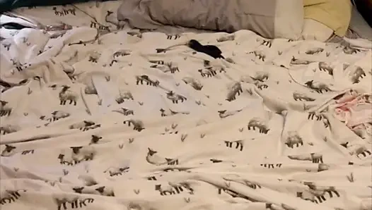 Makan pantat dan minyak kesenangan dan permainan