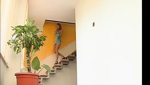 Das Stangona-Netzwerk