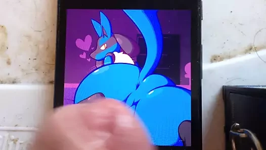 sop: lucario