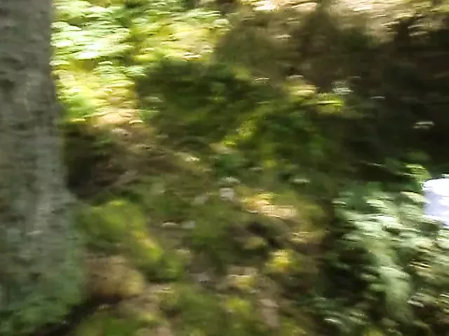 Fat