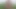 Peeing with a rock hard boner in the nature and releasing hot load of cum in the end