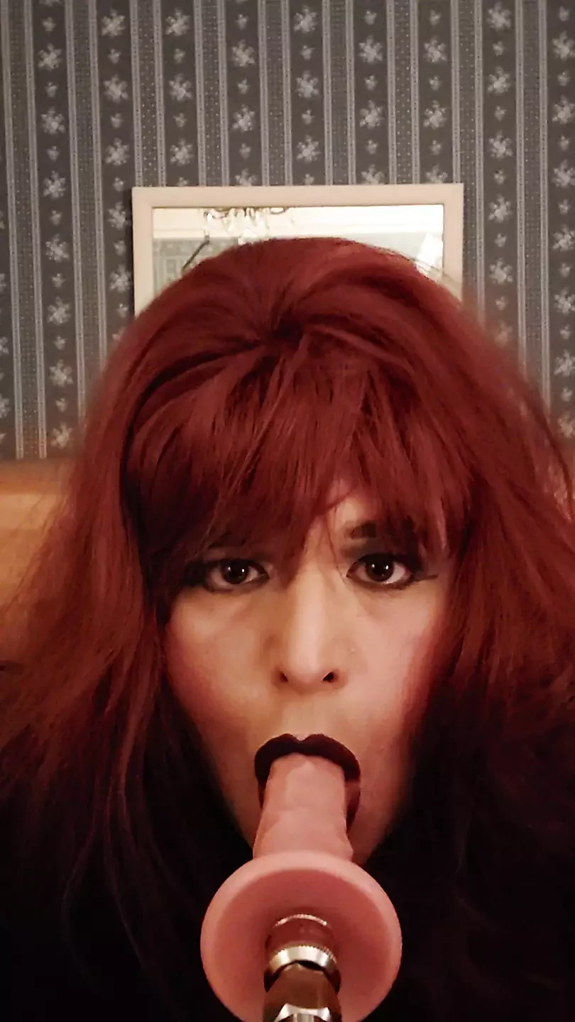 POV Blowjob with a Dildo