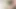 Morning Vibes, I Cum Too, My Dick Is Too Sweetie