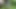 Rotorua vlog: Hint yemekleri ve ormanda iyi bir sikiş