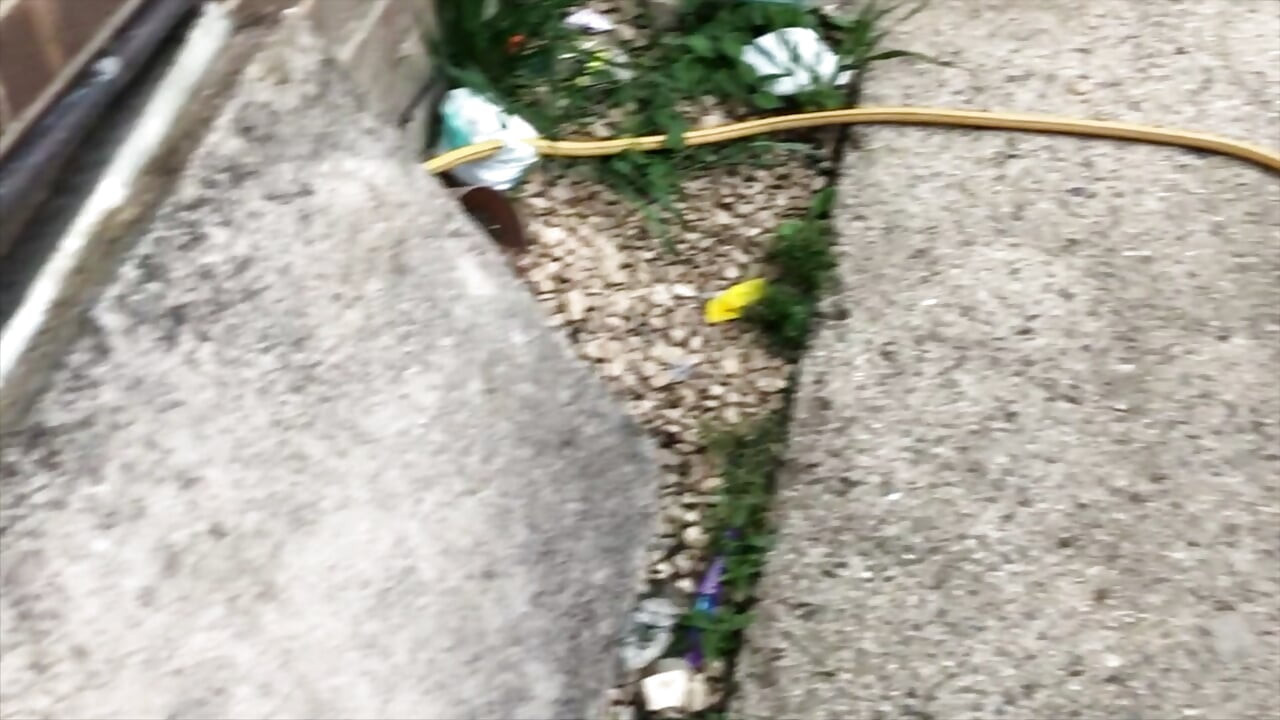 Lucky Builders Part 3