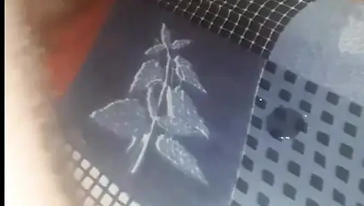Спокойной ночи и сводная сестра XXX для меня