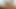 Remy lacroix emme bir dev siyah horoz