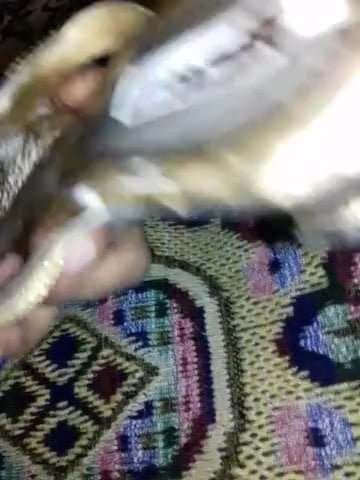 Spit on sandals