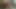 Blondes Callgirl Blowjob + Dogging + Gesichtsbesamung