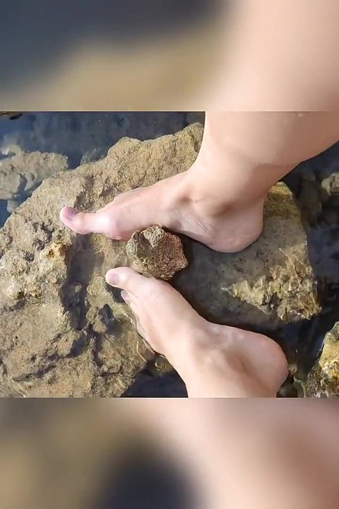 歌词大意： 在海里脚交 想象我的石头是你的鸡巴