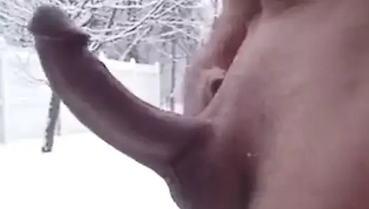 Dede var bir büyük horoz