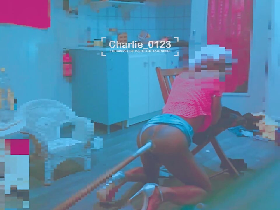 Jardinagem - vegetação e aventura