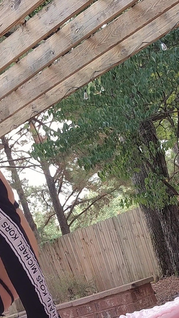 Zapanjujući trenutak iz filma "Moja izgleda tako dobro kad sam ispružena na suncu"