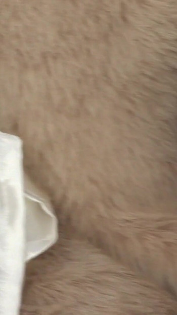 Iconic moment from "Hot brunettes in sexy lingerie fuck with a toy in bed"