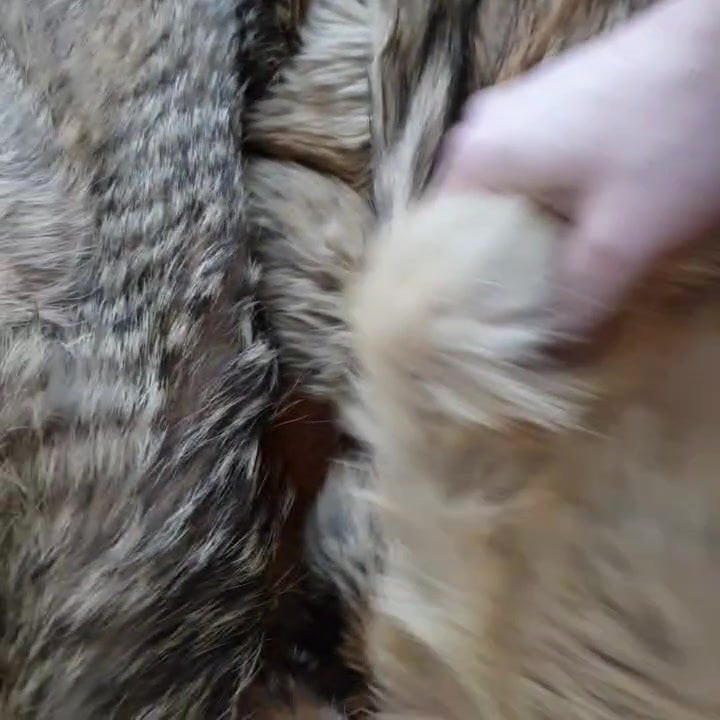 Handjob with fur