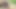 Chubby bottom was seen fuck by a pastor inside the bushes