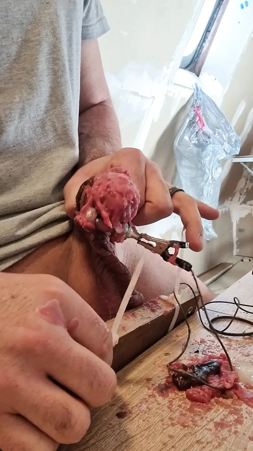 Hot Wax, Spikes and Elektro Wax Play Porn