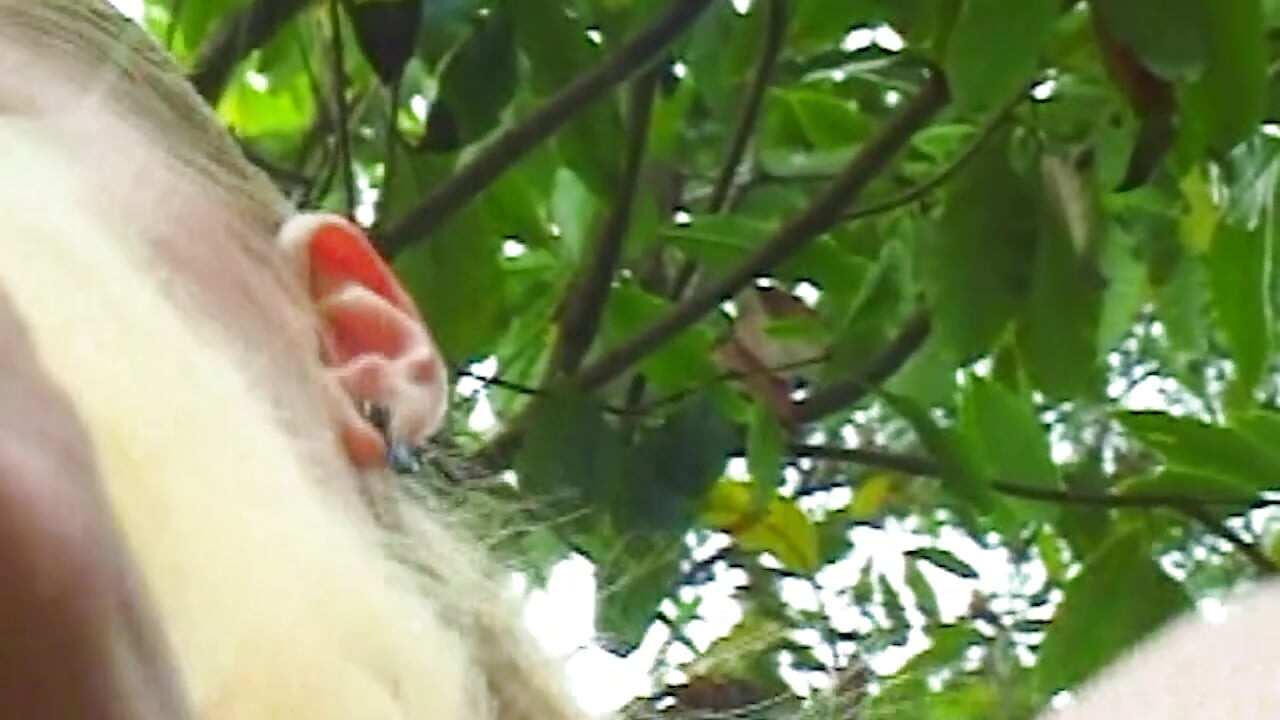Lesbische Abenteuer im Garten