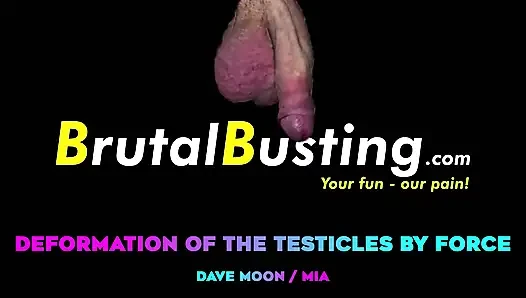 Deformasi testis! cowok ini nggak mungkin menantang kekuatannya - dave moon - mia - bbusting (ballbusting)