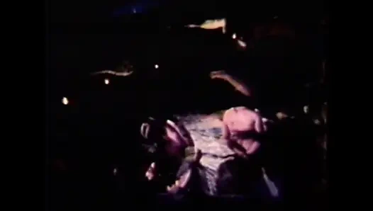 Babi Gozona Memompa Susu