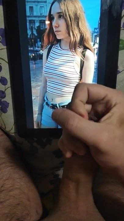 Pikcal cumtribute 4