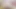 Pantat sempit Polly white dientot habis-habisan, streaming bintang porno Rusia atau unduh 4k