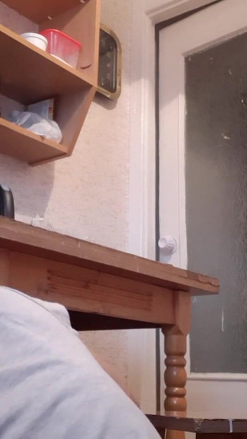 Memorable moment from "While our housekeeper was washing dishes, my girlfriend was riskily licking pussy under the table"