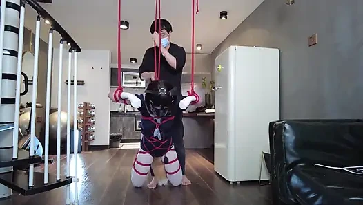 Mz31 - девушка, связанная и подвешенная красной веревкой, достигает оргазма.