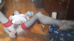 Pregled videozapisa