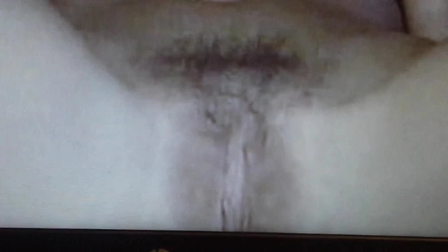 Hard cock for porn