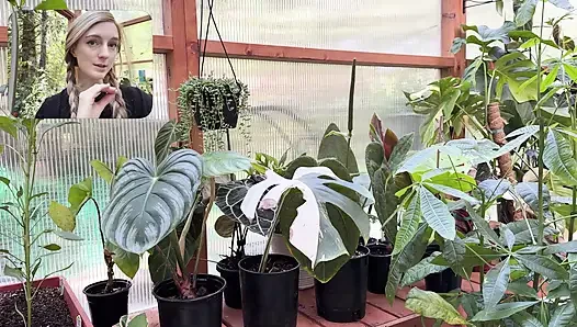 Moving My Plants Indoors