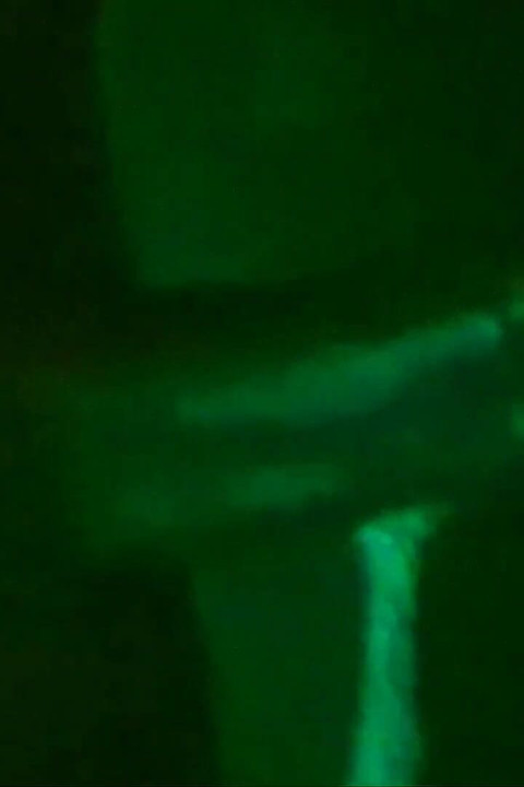 She Went Night Vision and Sucks Dick!!!