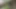 Indian Tarzan Boy Sex In Jungle Wood (Short)