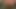 完璧なbbcをしゃぶる