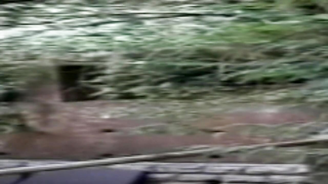 Junge zarte transen 15 3