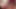 sounding dildo lingerie  shemale 2