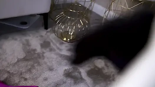 Good Boy Conditioning