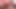 Dicker hintern, der hart auf dildo twerkt