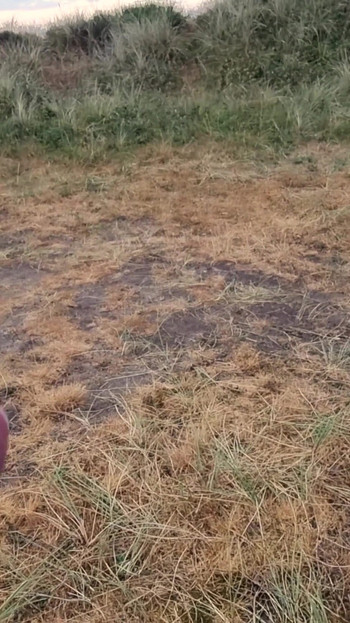 Emotional moment from "Morning Cumshot in Dansk Dunes"