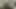 Pictures and Cum Video