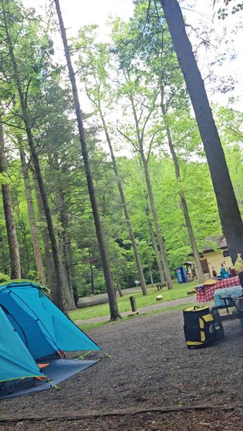 Campingplats masterbation