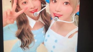 IZONE Sakura and Minju Cumtribute