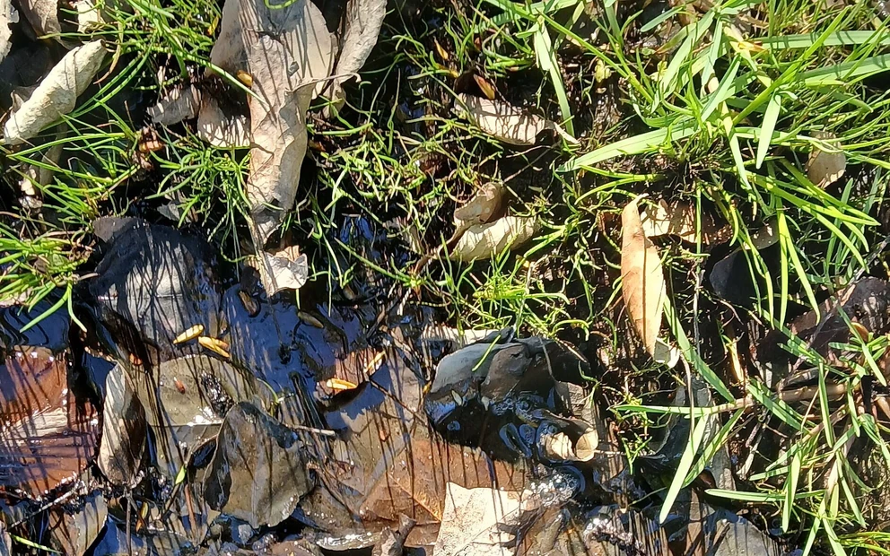 Mud Fun in Rubber Camo Wellies