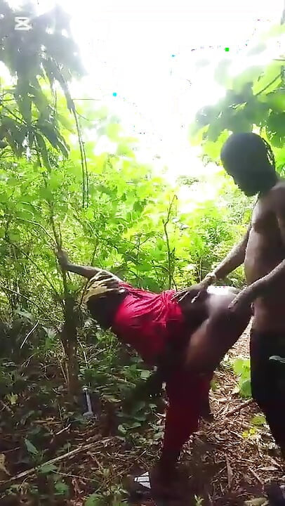 Meet Him on a Good Day in the Bush