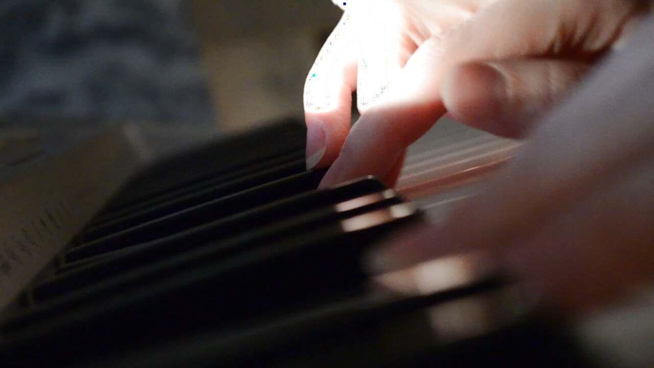 CatFerae video
