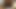 Geiler Blowjob und intensiver Vaginalfick