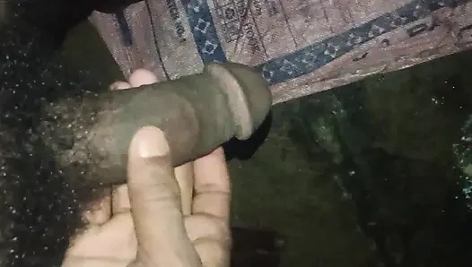 Mota land se mast chodai krwali