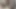 Gözlüklü inek esmer kadın dildoyla sikişiyor ve orgazm oluyor