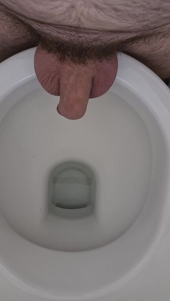 Наказание члена в туалете
