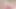 Pawg latin muchasexo'da ormanın derinliklerine iniyor